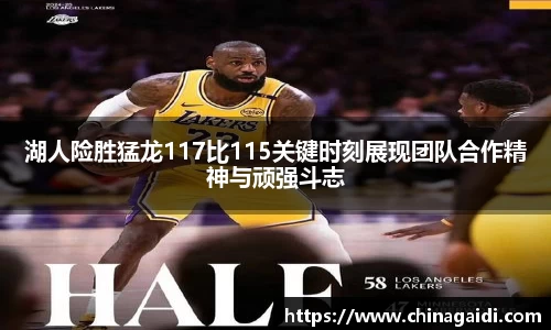 湖人险胜猛龙117比115关键时刻展现团队合作精神与顽强斗志